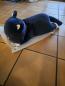 Preview: Scaramouche XXL Cat Plushy